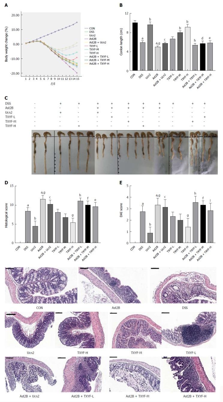 https://cdn.ncbi.nlm.nih.gov/pmc/blobs/fb4a/5922995/f0d6920fc7c9/WJG-24-1766-g001.jpg
