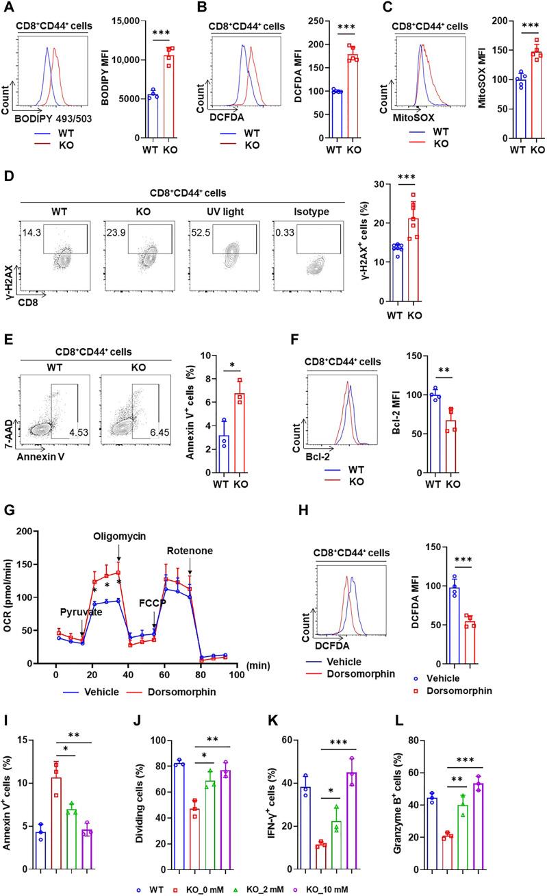 https://cdn.ncbi.nlm.nih.gov/pmc/blobs/fb4b/10699783/391a54a5414f/sciadv.adf9522-f8.jpg
