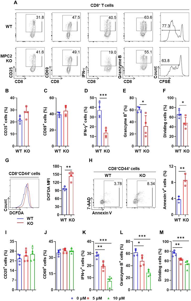 https://cdn.ncbi.nlm.nih.gov/pmc/blobs/fb4b/10699783/7f3674d2825a/sciadv.adf9522-f9.jpg