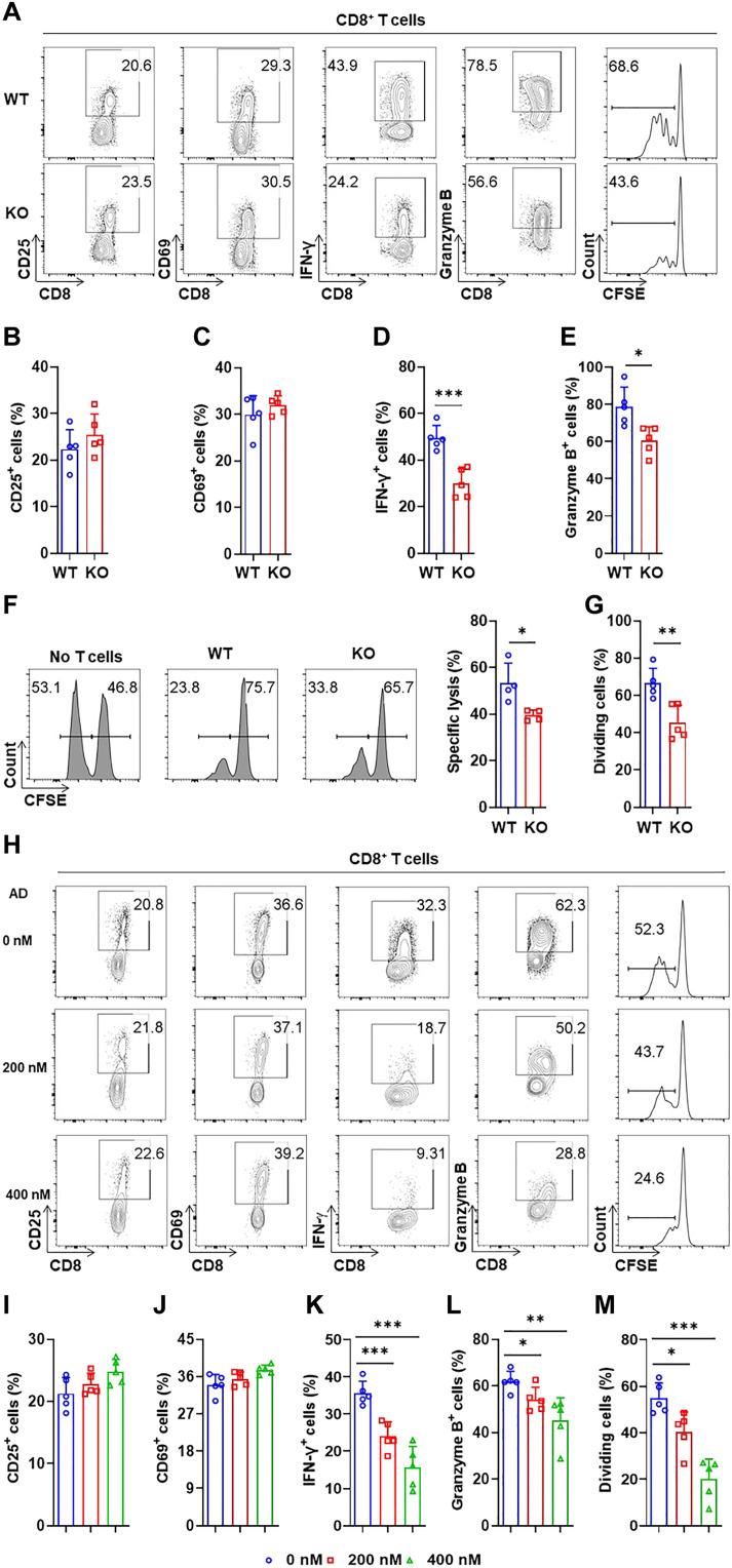 https://cdn.ncbi.nlm.nih.gov/pmc/blobs/fb4b/10699783/9f138bd8cf71/sciadv.adf9522-f1.jpg