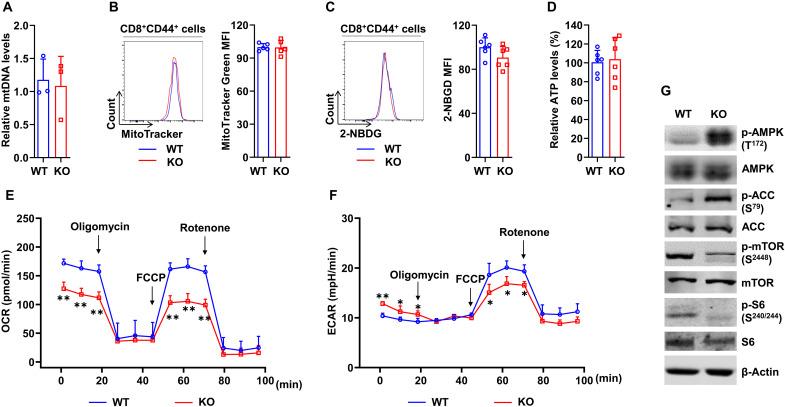 https://cdn.ncbi.nlm.nih.gov/pmc/blobs/fb4b/10699783/bfbe3622895d/sciadv.adf9522-f5.jpg