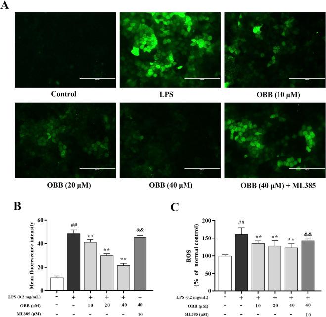 https://cdn.ncbi.nlm.nih.gov/pmc/blobs/fb4c/11747431/0aec282e3c9d/fphar-15-1496874-g005.jpg