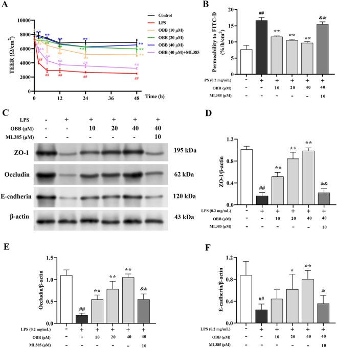 https://cdn.ncbi.nlm.nih.gov/pmc/blobs/fb4c/11747431/7e8f7ceabf82/fphar-15-1496874-g002.jpg