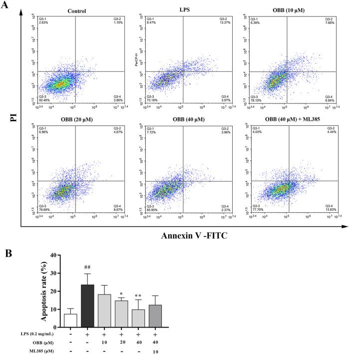 https://cdn.ncbi.nlm.nih.gov/pmc/blobs/fb4c/11747431/94dbaddfca46/fphar-15-1496874-g006.jpg