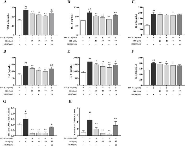 https://cdn.ncbi.nlm.nih.gov/pmc/blobs/fb4c/11747431/aac9f02eee96/fphar-15-1496874-g004.jpg