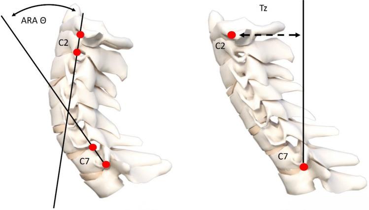 https://cdn.ncbi.nlm.nih.gov/pmc/blobs/fb4d/11116459/e48ff9694c96/41598_2024_62812_Fig6_HTML.jpg