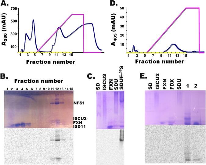 https://cdn.ncbi.nlm.nih.gov/pmc/blobs/fb4e/4215901/e9ef395cc09b/bi-2014-00532e_0005.jpg