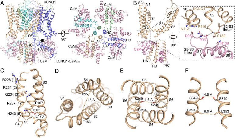 https://cdn.ncbi.nlm.nih.gov/pmc/blobs/fb4e/9661191/064e87183b3e/pnas.2207067119fig03.jpg