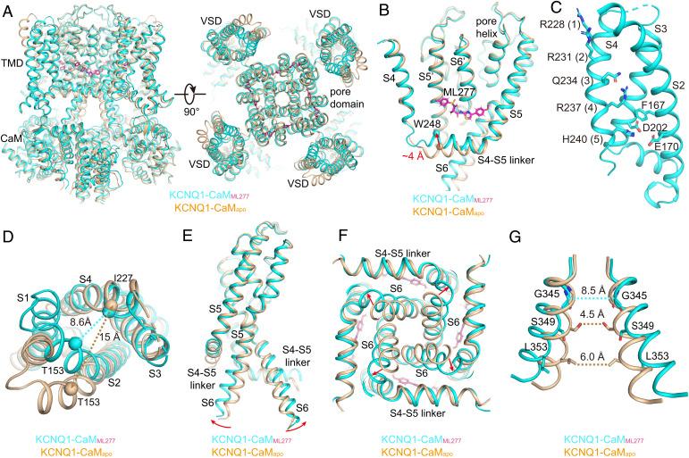https://cdn.ncbi.nlm.nih.gov/pmc/blobs/fb4e/9661191/72f0ac6fbfa6/pnas.2207067119fig05.jpg