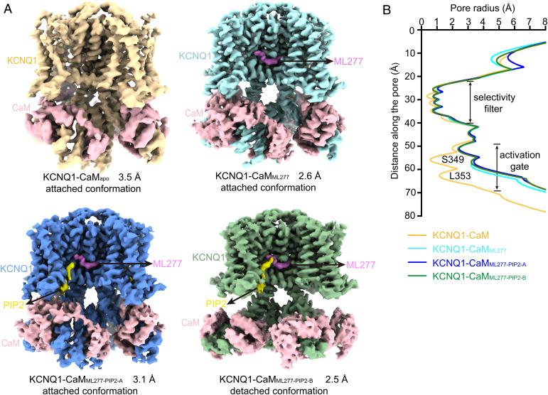 https://cdn.ncbi.nlm.nih.gov/pmc/blobs/fb4e/9661191/9253a053f354/pnas.2207067119fig02.jpg
