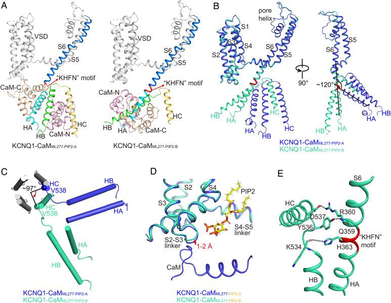 https://cdn.ncbi.nlm.nih.gov/pmc/blobs/fb4e/9661191/db23cf423abe/pnas.2207067119fig07.jpg