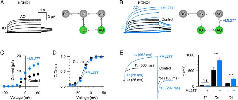 https://cdn.ncbi.nlm.nih.gov/pmc/blobs/fb4e/9661191/e9511afb20ed/pnas.2207067119fig01.jpg