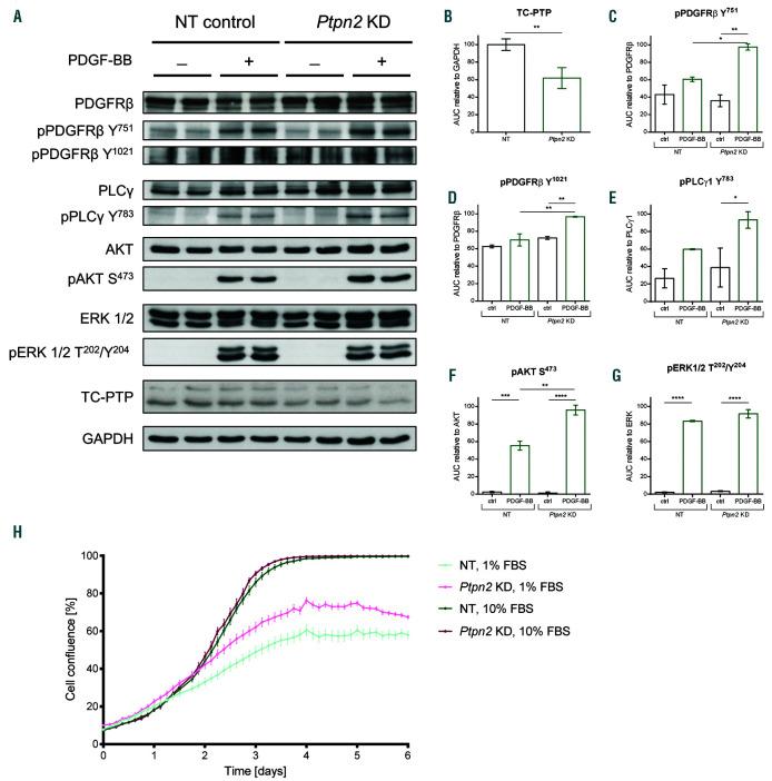 https://cdn.ncbi.nlm.nih.gov/pmc/blobs/fb4f/7395273/0f0b1d708c8c/1052083.fig7.jpg