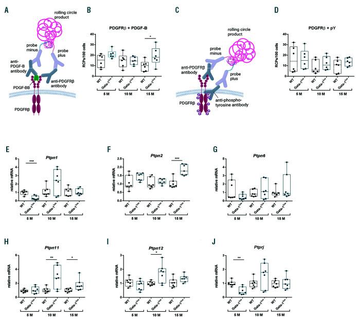 https://cdn.ncbi.nlm.nih.gov/pmc/blobs/fb4f/7395273/4fd57aaf5b47/1052083.fig5.jpg