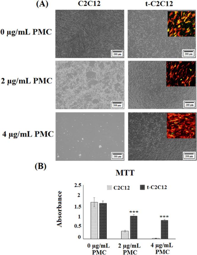 https://cdn.ncbi.nlm.nih.gov/pmc/blobs/fb50/10646847/55118f0578ca/ab3c00506_0005.jpg