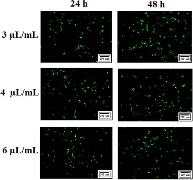 https://cdn.ncbi.nlm.nih.gov/pmc/blobs/fb50/10646847/b9c159ce9c18/ab3c00506_0003.jpg
