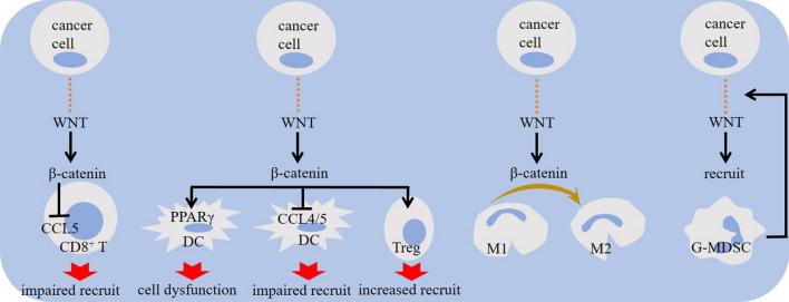 https://cdn.ncbi.nlm.nih.gov/pmc/blobs/fb54/10822012/40410c221571/10238_2023_1274_Fig2_HTML.jpg