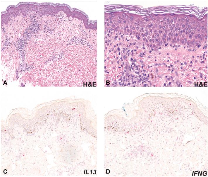 https://cdn.ncbi.nlm.nih.gov/pmc/blobs/fb54/11107093/375fa4416130/gr1.jpg