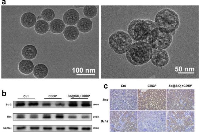 https://cdn.ncbi.nlm.nih.gov/pmc/blobs/fb56/11480945/d3276ce679d0/ab4c01385_0007.jpg