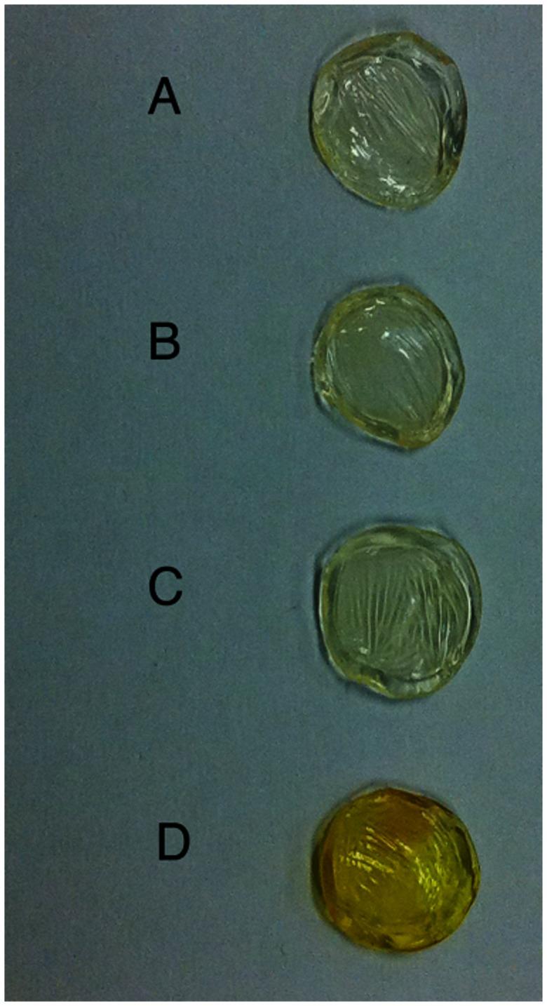 https://cdn.ncbi.nlm.nih.gov/pmc/blobs/fb56/3681906/b10aa861f9d6/pone.0066408.g003.jpg