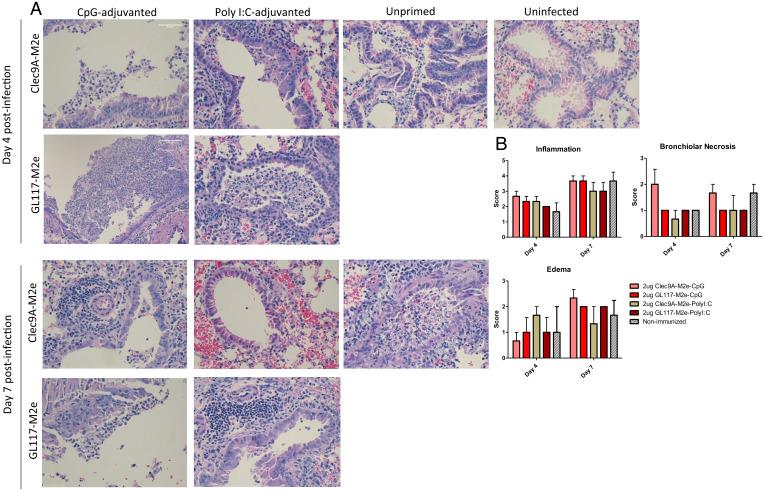 https://cdn.ncbi.nlm.nih.gov/pmc/blobs/fb58/9060463/c18181d6e353/pnas.2025607119fig03.jpg