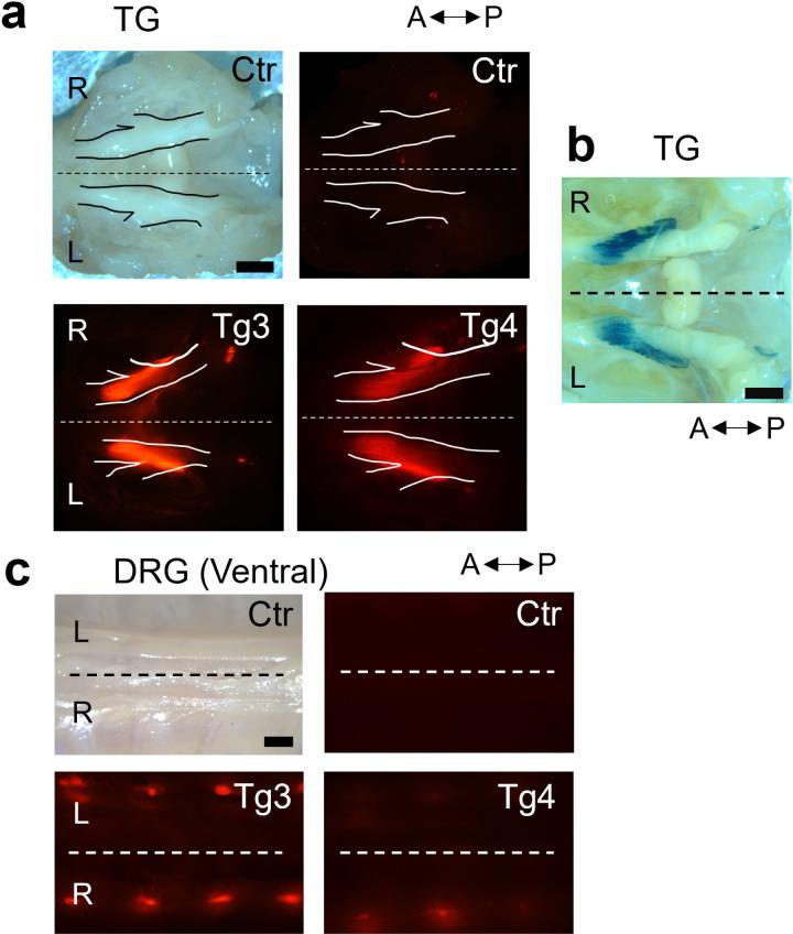 https://cdn.ncbi.nlm.nih.gov/pmc/blobs/fb5a/12143492/0ade54c8c552/pone.0321014.g002.jpg