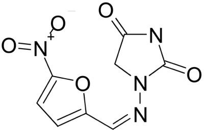 https://cdn.ncbi.nlm.nih.gov/pmc/blobs/fb5d/4870977/1a51dec60bd9/kjp-54-2-155f1.jpg