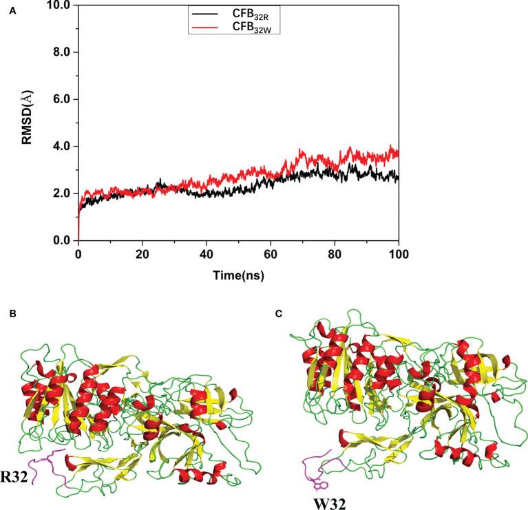 https://cdn.ncbi.nlm.nih.gov/pmc/blobs/fb5e/9606215/1c93560e1d98/fimmu-13-973169-g002.jpg