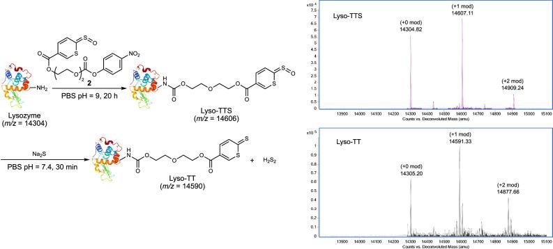 https://cdn.ncbi.nlm.nih.gov/pmc/blobs/fb61/10951338/c69ec3cf7540/41467_2024_46652_Fig6_HTML.jpg