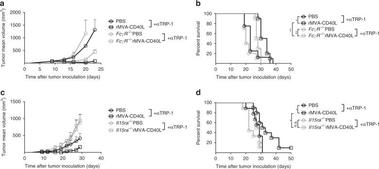 https://cdn.ncbi.nlm.nih.gov/pmc/blobs/fb62/6834557/0dd56bd7c7c2/41467_2019_12998_Fig6_HTML.jpg