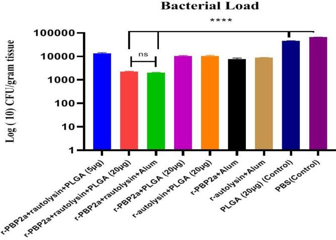 https://cdn.ncbi.nlm.nih.gov/pmc/blobs/fb62/9150805/452a53298516/IJBMS-25-442-g006.jpg