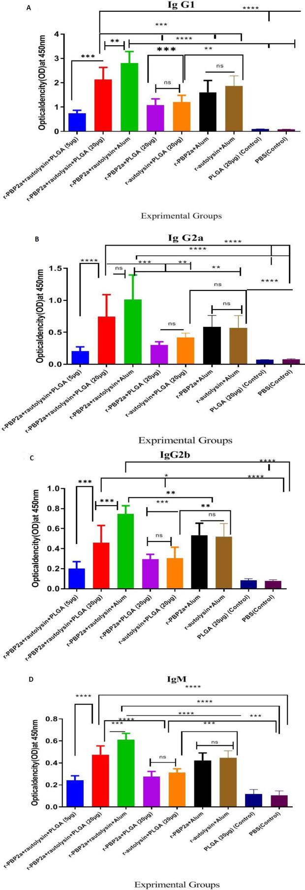 https://cdn.ncbi.nlm.nih.gov/pmc/blobs/fb62/9150805/6d69bc8d657b/IJBMS-25-442-g004.jpg