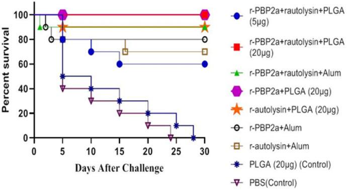https://cdn.ncbi.nlm.nih.gov/pmc/blobs/fb62/9150805/f90545d09e82/IJBMS-25-442-g007.jpg