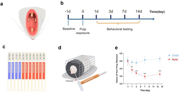https://cdn.ncbi.nlm.nih.gov/pmc/blobs/fb64/11847359/5edee2179159/13578_2025_1363_Fig1_HTML.jpg