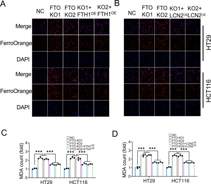https://cdn.ncbi.nlm.nih.gov/pmc/blobs/fb65/12127581/169ad89b68a5/mmcfigs9.jpg