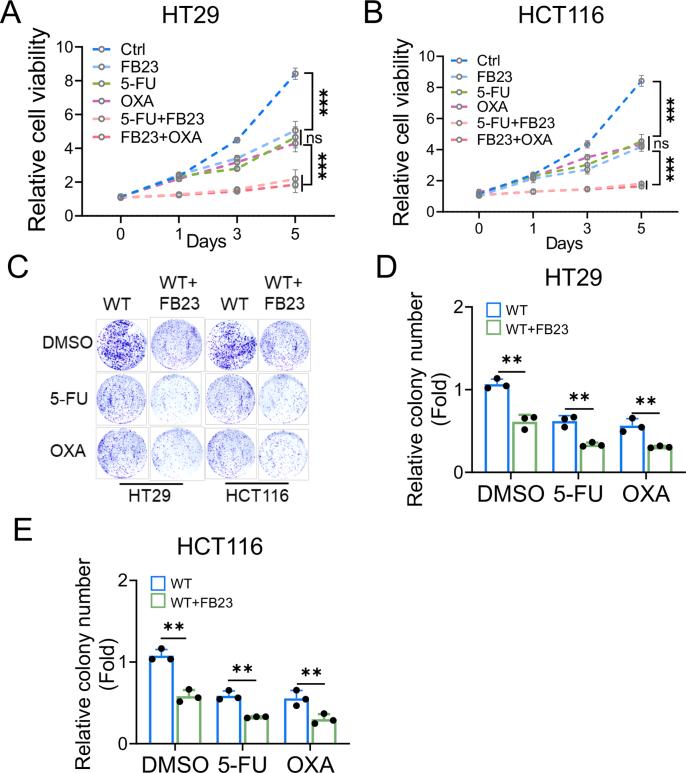 https://cdn.ncbi.nlm.nih.gov/pmc/blobs/fb65/12127581/1ddb8683b1e5/mmcfigs13.jpg