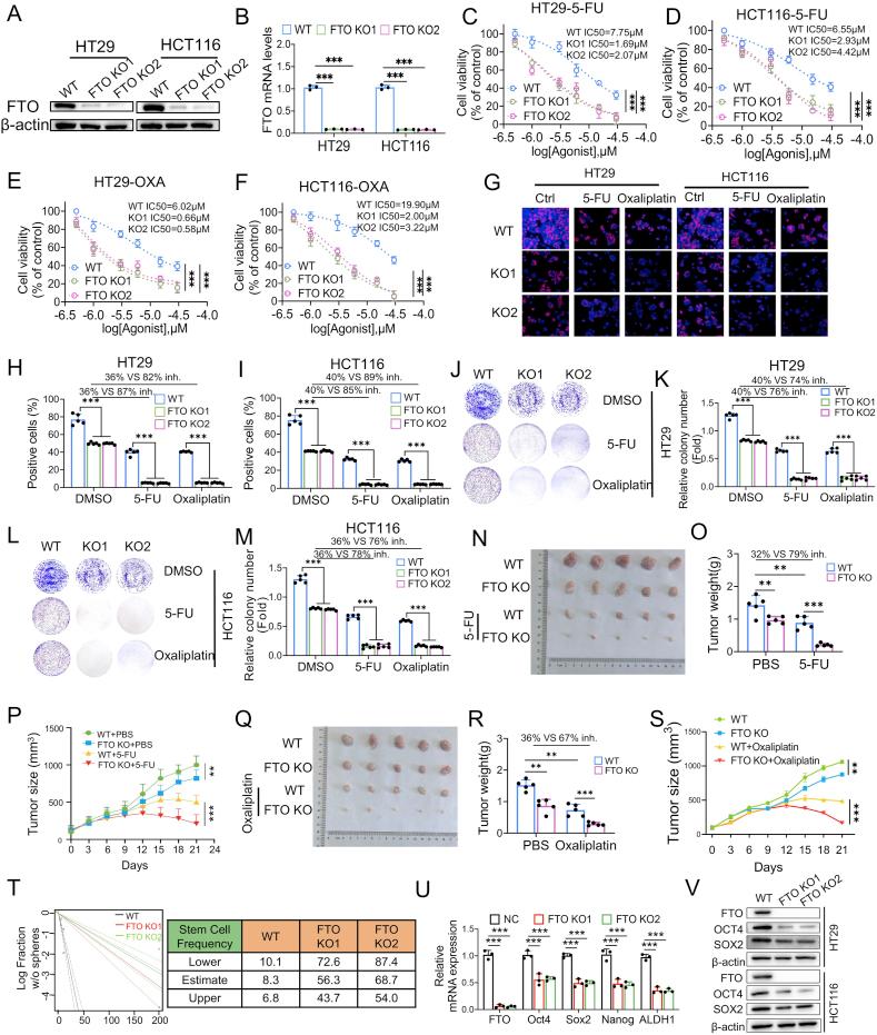 https://cdn.ncbi.nlm.nih.gov/pmc/blobs/fb65/12127581/38ab0fbe5333/gr2.jpg