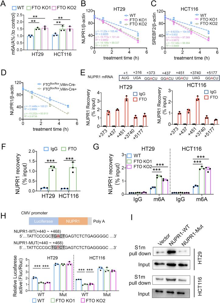 https://cdn.ncbi.nlm.nih.gov/pmc/blobs/fb65/12127581/3d1014da3a71/gr6.jpg