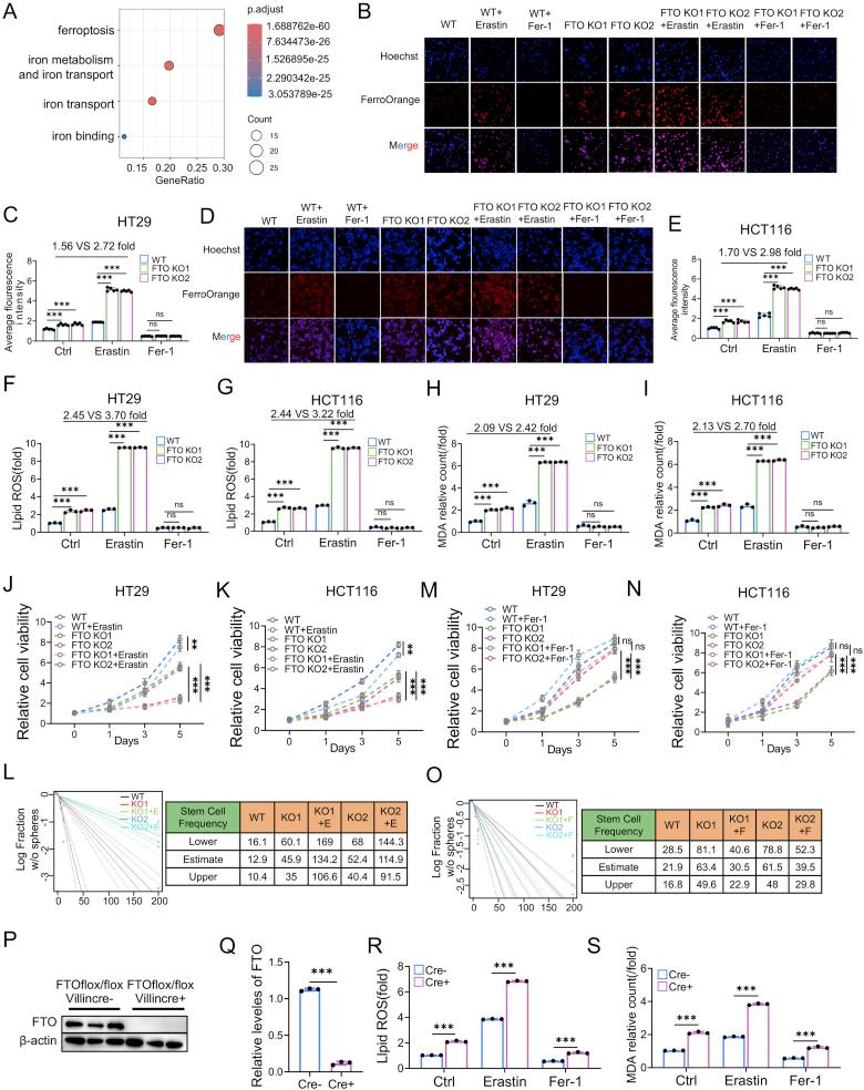 https://cdn.ncbi.nlm.nih.gov/pmc/blobs/fb65/12127581/7fa317c2963a/gr3.jpg