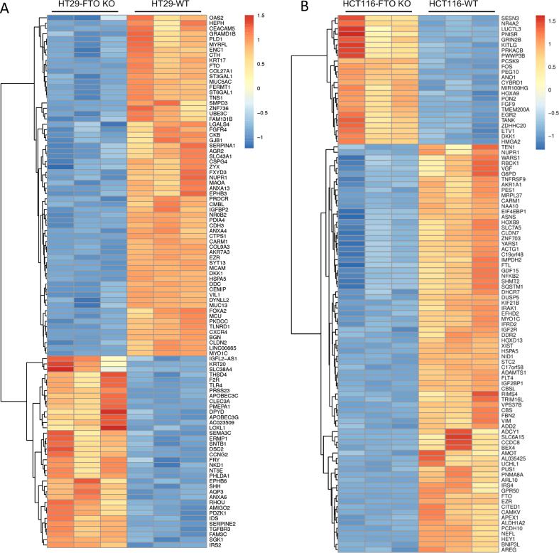https://cdn.ncbi.nlm.nih.gov/pmc/blobs/fb65/12127581/7fd13ed93fe6/mmcfigs2.jpg