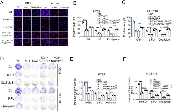 https://cdn.ncbi.nlm.nih.gov/pmc/blobs/fb65/12127581/8055b6049a28/mmcfigs7.jpg