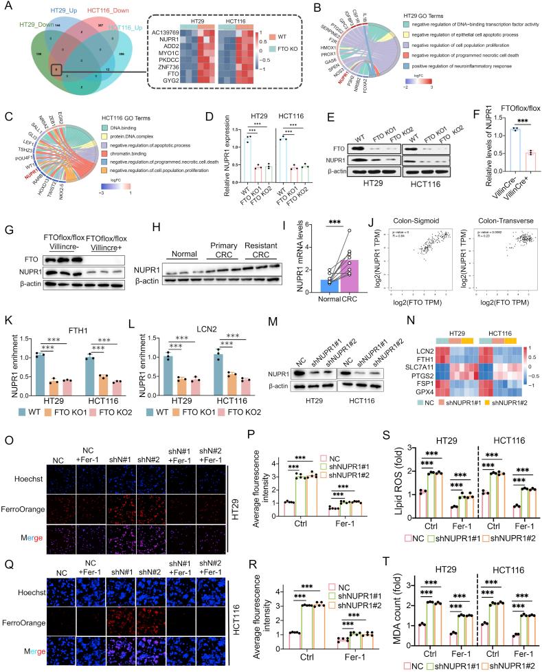 https://cdn.ncbi.nlm.nih.gov/pmc/blobs/fb65/12127581/c34c2e920add/gr4.jpg
