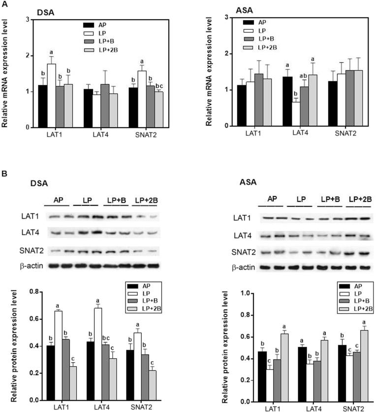 https://cdn.ncbi.nlm.nih.gov/pmc/blobs/fb67/5940986/4b5889bb0b87/gr2.jpg