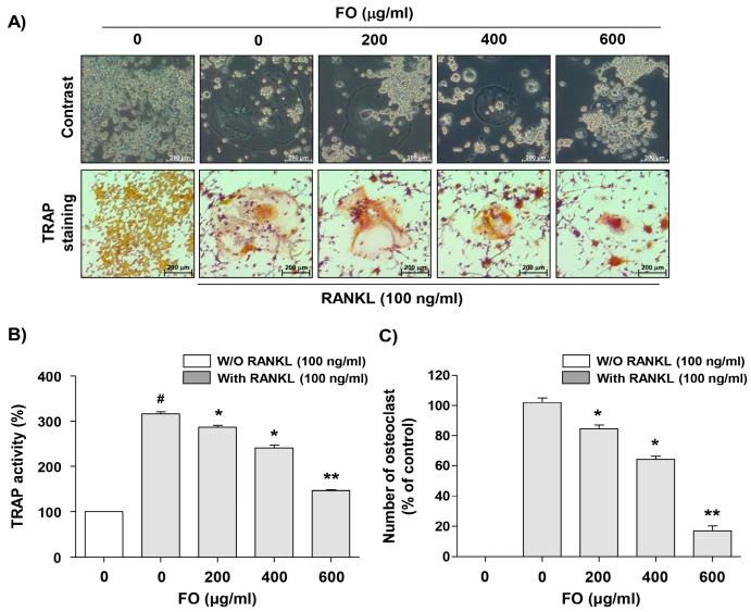 https://cdn.ncbi.nlm.nih.gov/pmc/blobs/fb67/6471417/385f9448b5b6/ijms-20-01439-g002.jpg