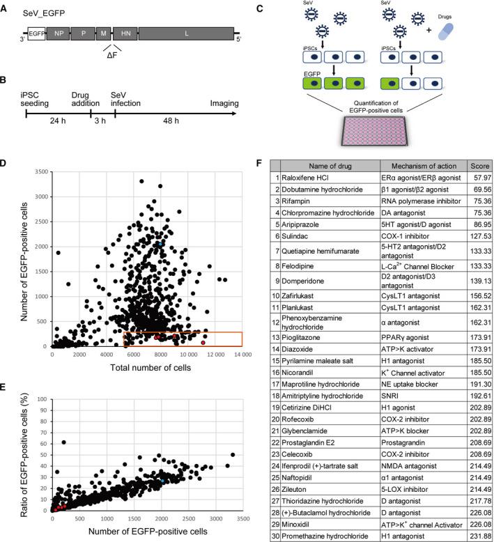 https://cdn.ncbi.nlm.nih.gov/pmc/blobs/fb68/8091584/c4d087a3c488/FEB4-11-1452-g005.jpg