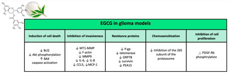 https://cdn.ncbi.nlm.nih.gov/pmc/blobs/fb68/8955269/ea6e84af279c/ijms-23-03360-g006.jpg