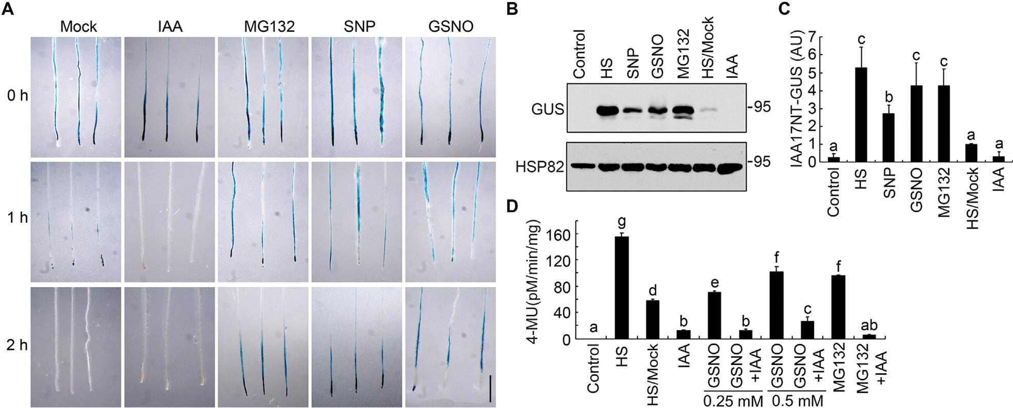 https://cdn.ncbi.nlm.nih.gov/pmc/blobs/fb6b/11070147/7dee4042e034/nihms-1986643-f0001.jpg