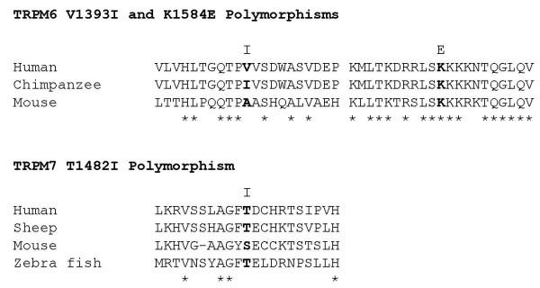 https://cdn.ncbi.nlm.nih.gov/pmc/blobs/fb6b/2637850/b9aaa2ff14fa/1471-2350-10-4-4.jpg