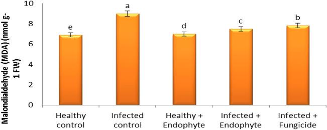 https://cdn.ncbi.nlm.nih.gov/pmc/blobs/fb6b/9420682/119e243b3762/40529_2022_357_Fig5_HTML.jpg