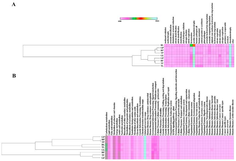 https://cdn.ncbi.nlm.nih.gov/pmc/blobs/fb6d/11672966/f8549d2e206d/biology-13-01022-g003.jpg
